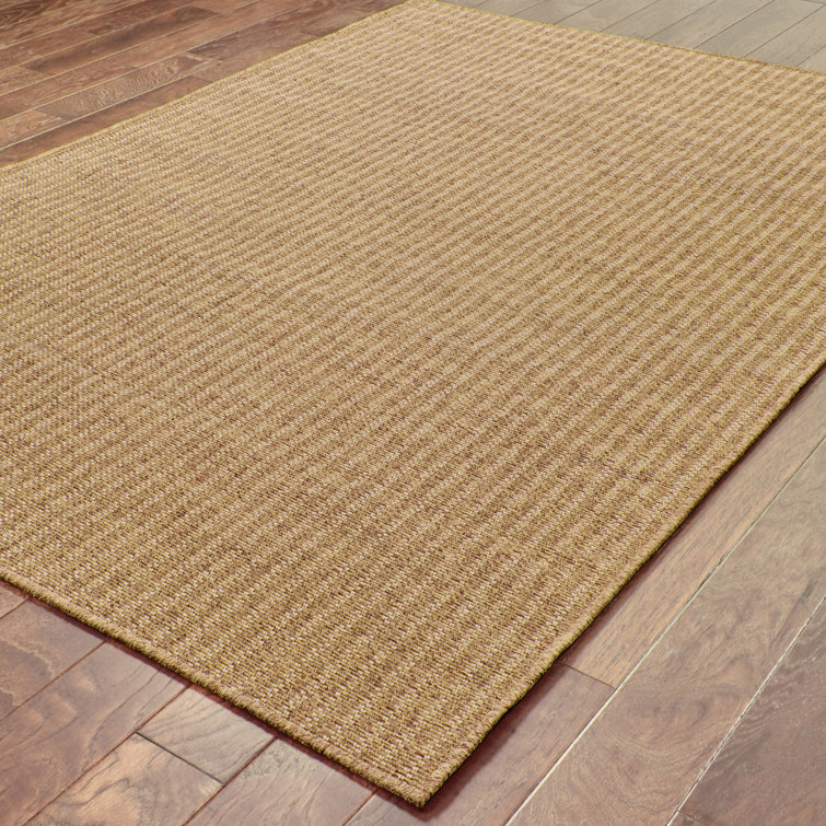 Threadbind South Hampton Brown Indoor / Outdoor Area Rug & Reviews